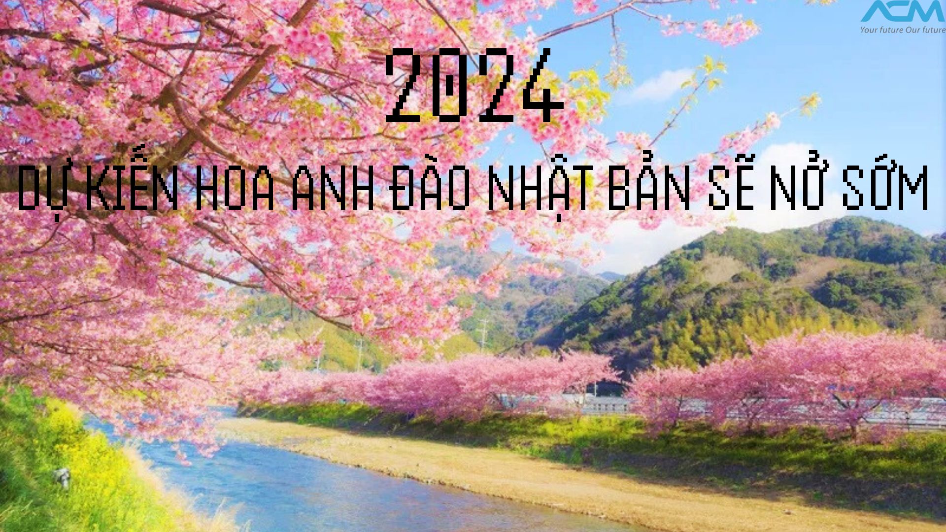 acmjinzai